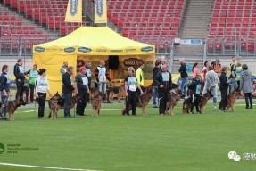 英雄-败北首场状态出色，MAD观众沸腾！，德罗巴重返赛场赛场气氛高涨(德罗巴智能锁如何换密码)